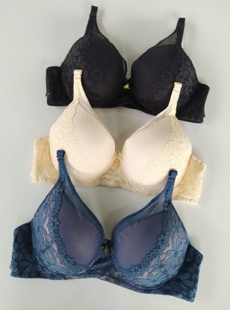 Biustonosz miseczka D   Isla 