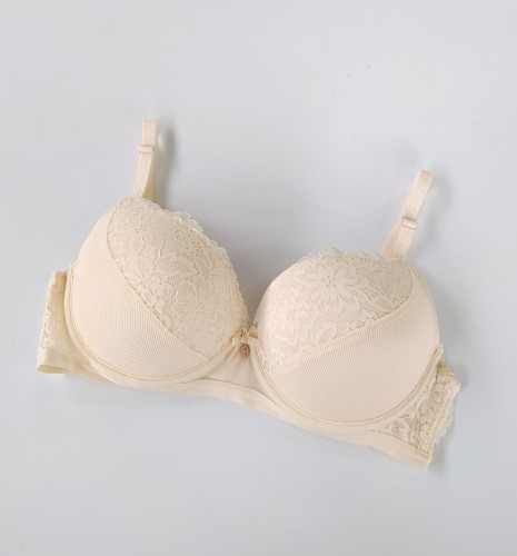 biustonosz miseczka c helga.jpg