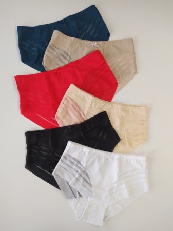 Majtki transparentne wysoki stan Gaja