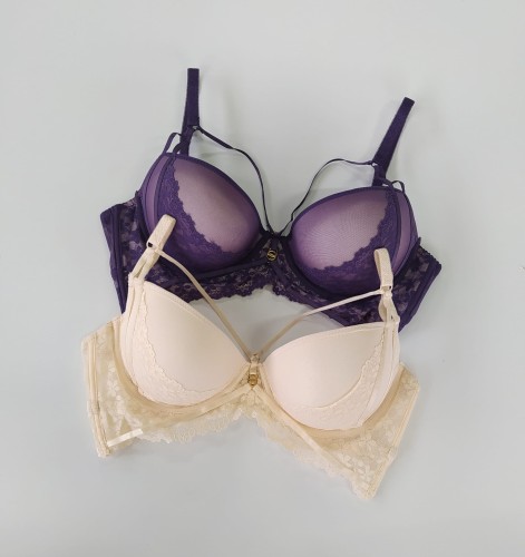 biustonosz miseczka C z paskami.jpg